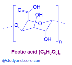pectic acid, chemicals of cell wall, chemical structure of pectic acid
